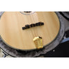 Gold Tone OM-800+ Octave Mandolin with Case