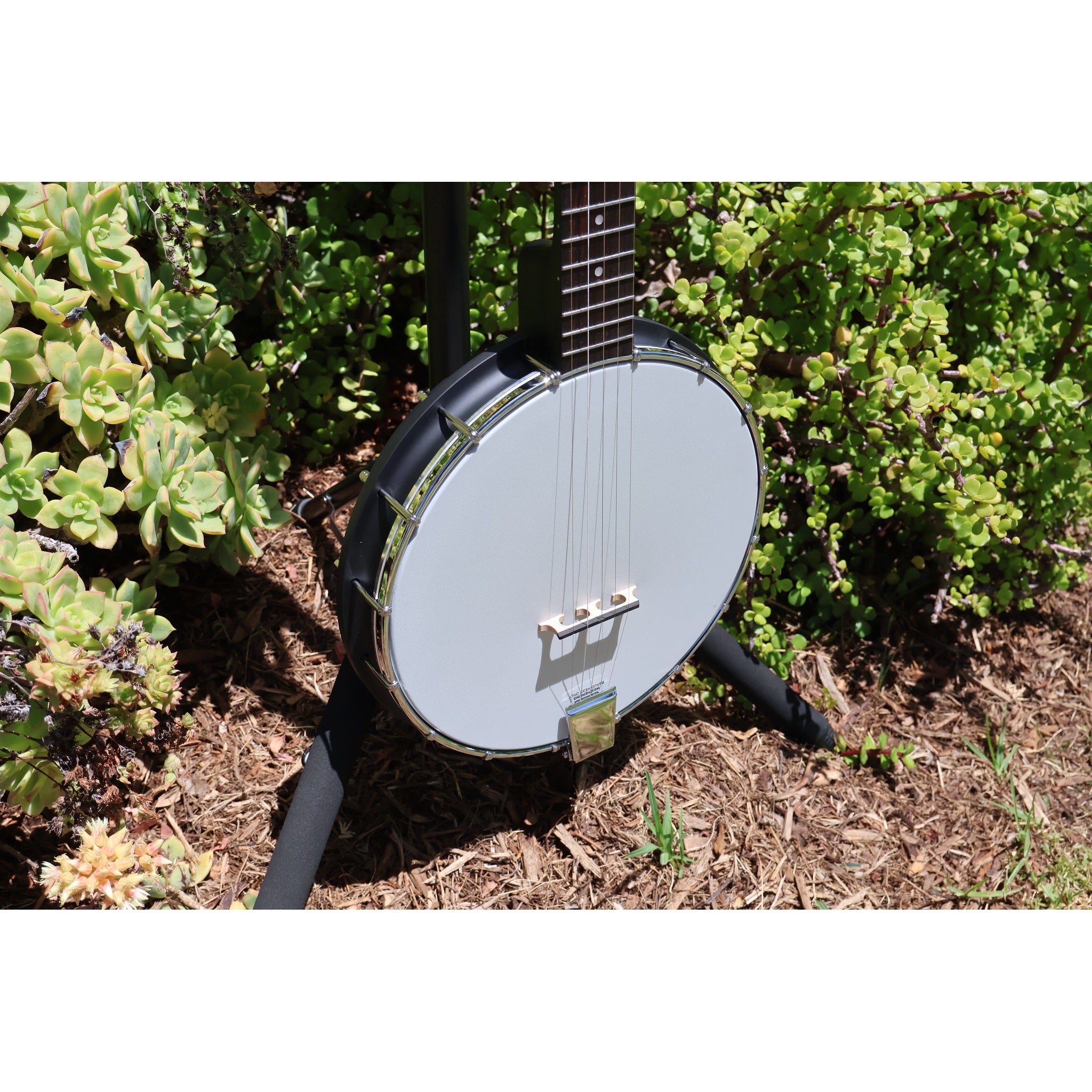 Gold Tone AC-1 5-String Openback Banjo with Gig Bag