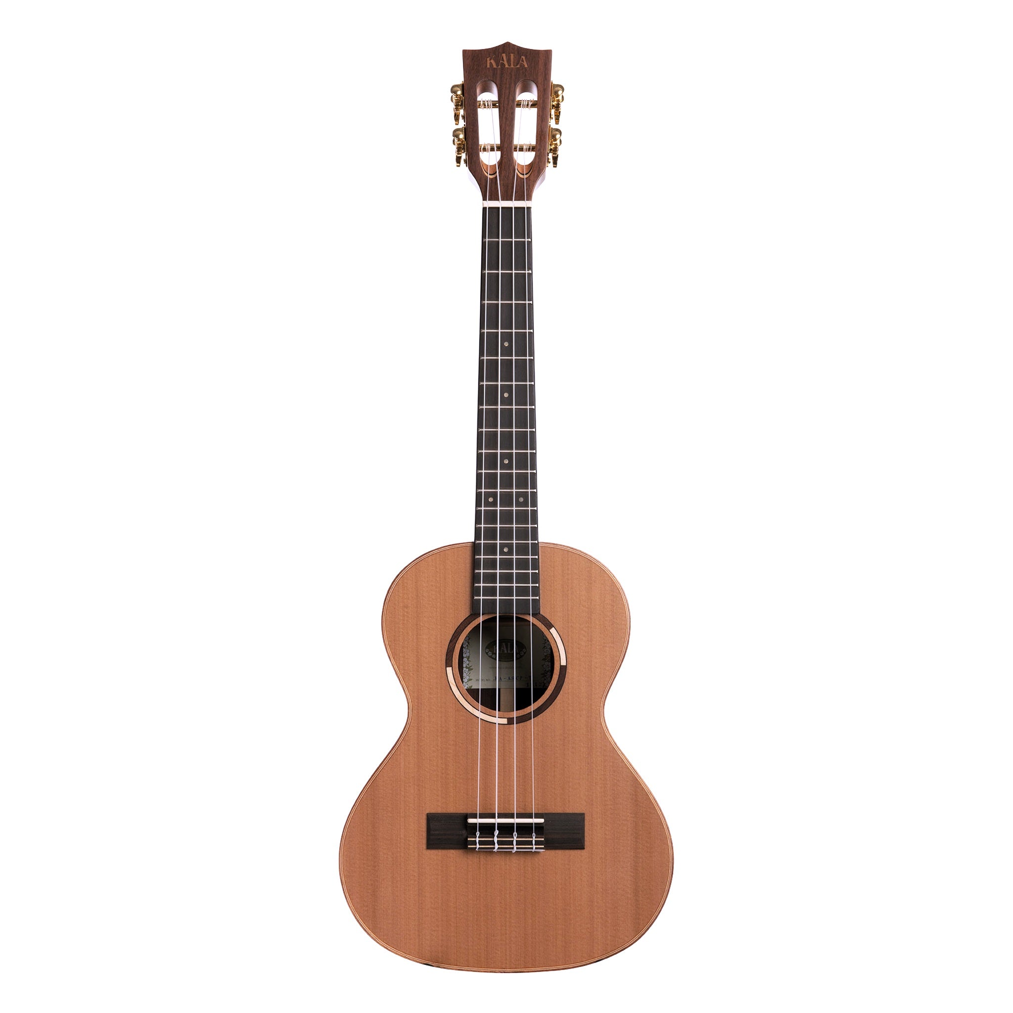 Solid Cedar Top Pau Ferro Tenor front