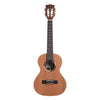 Solid Cedar Top Pau Ferro Tenor front