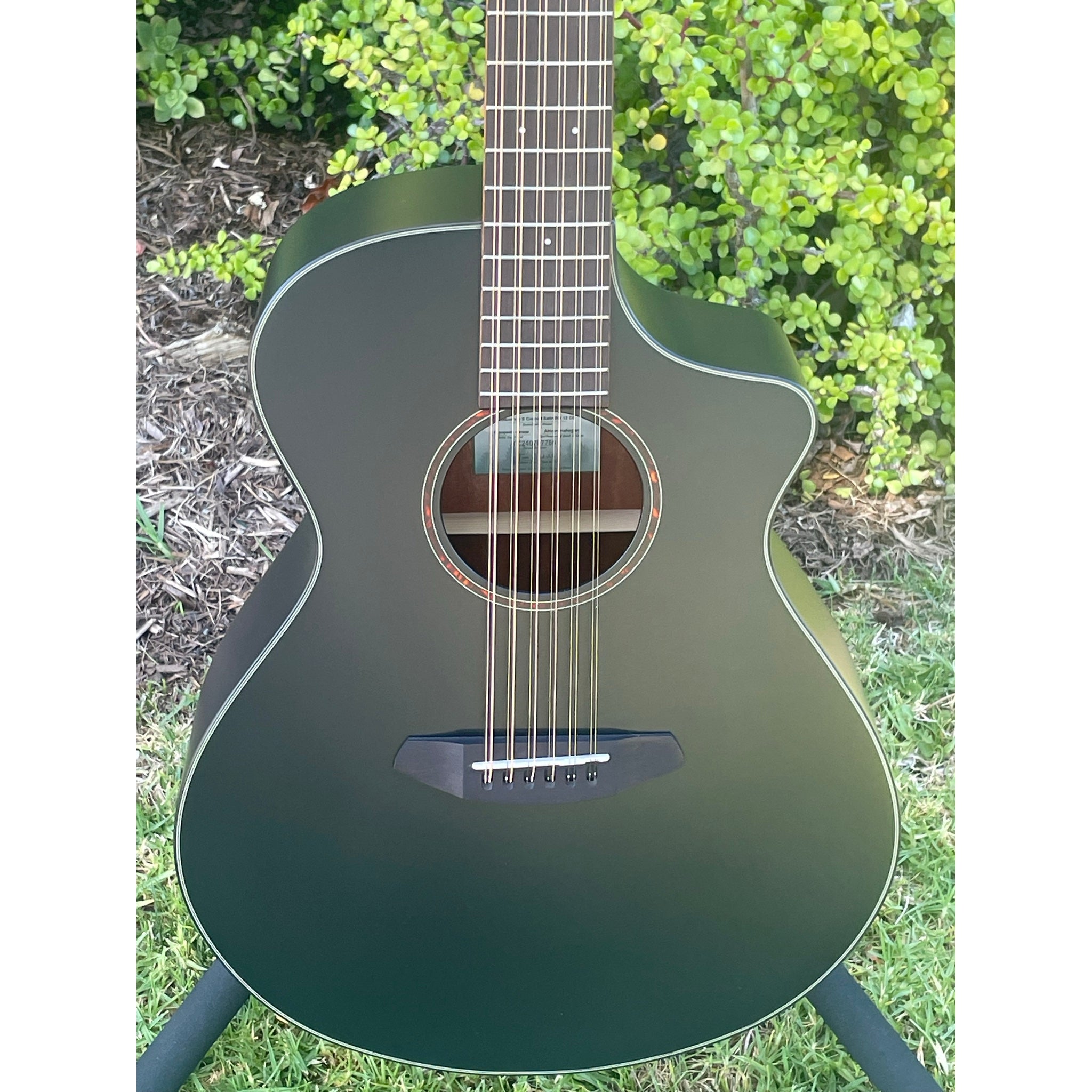 Breedlove Discovery S Concert Satin Black 12 String CE European-African Mahogany