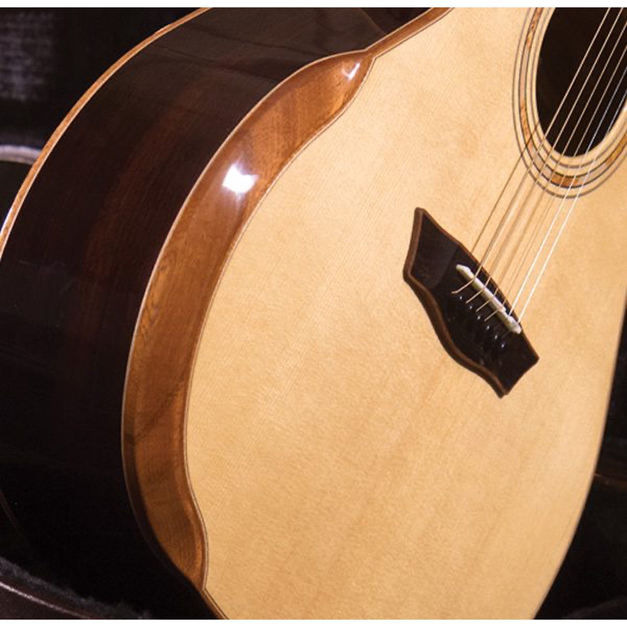 Washburn G25SCE Comfort Deluxe Pau Ferro acoustic-electric guitar