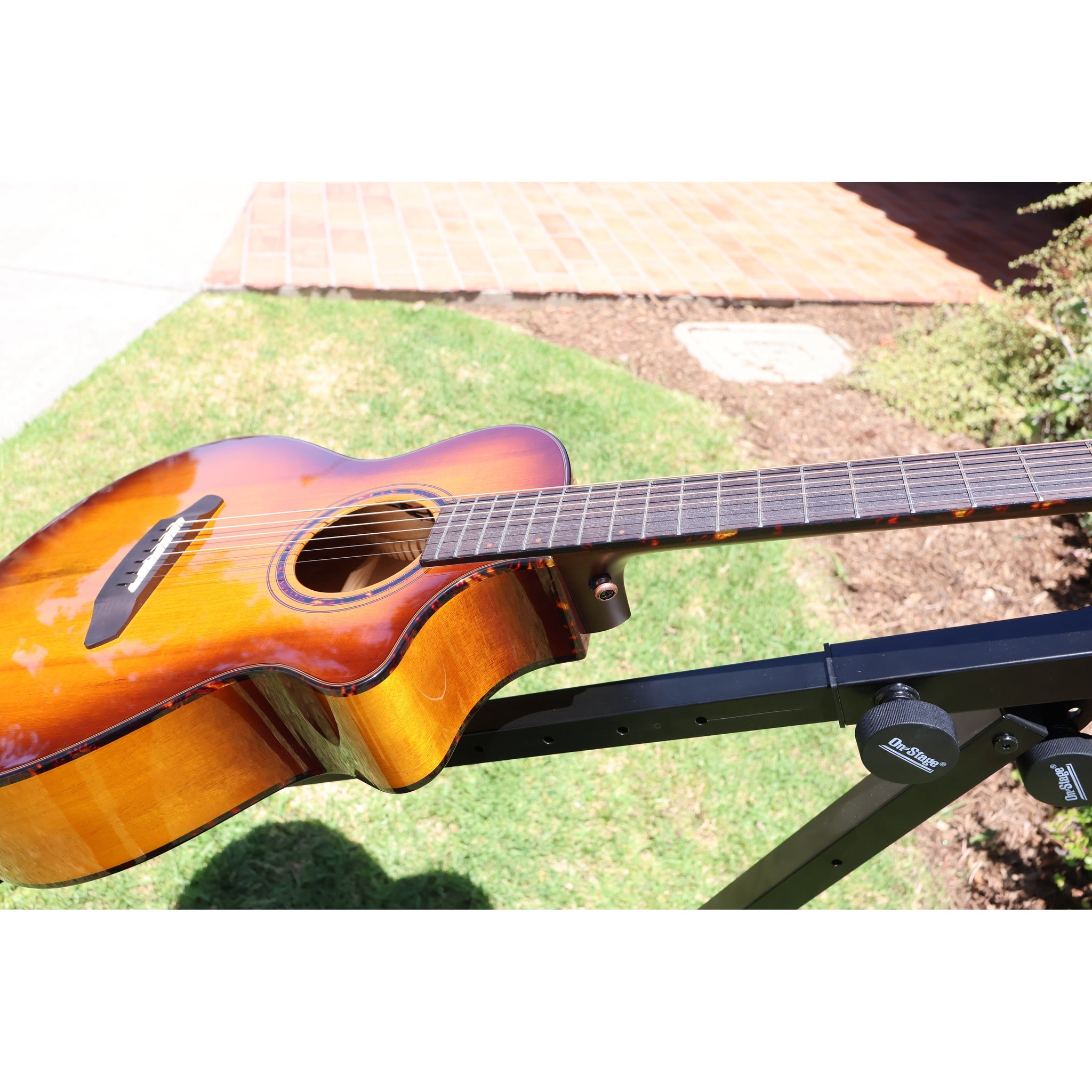 Breedlove Pursuit Exotic S Companion Tiger's Eye CE Myrtlewood-Myrtlewood — CC250205209