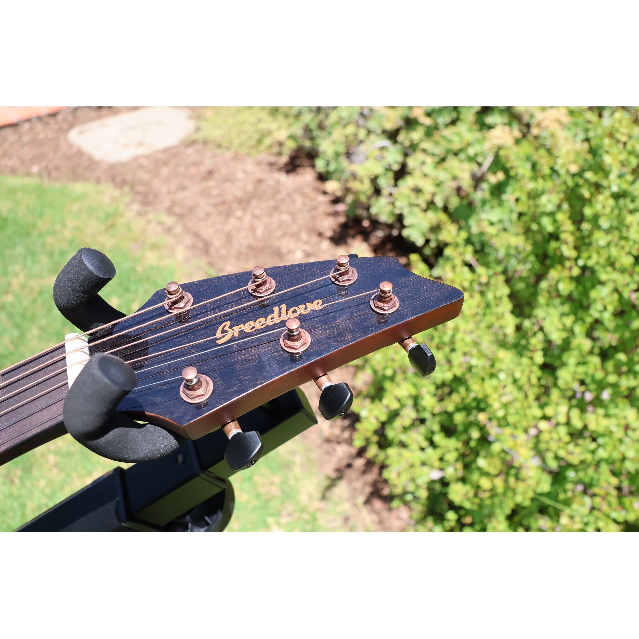 Breedlove Pursuit Exotic S Companion Tiger's Eye CE Myrtlewood-Myrtlewood — CC250205209