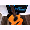 Breedlove Performer Pro Concert CE Acoustic-Electric Guitar – Aged Toner