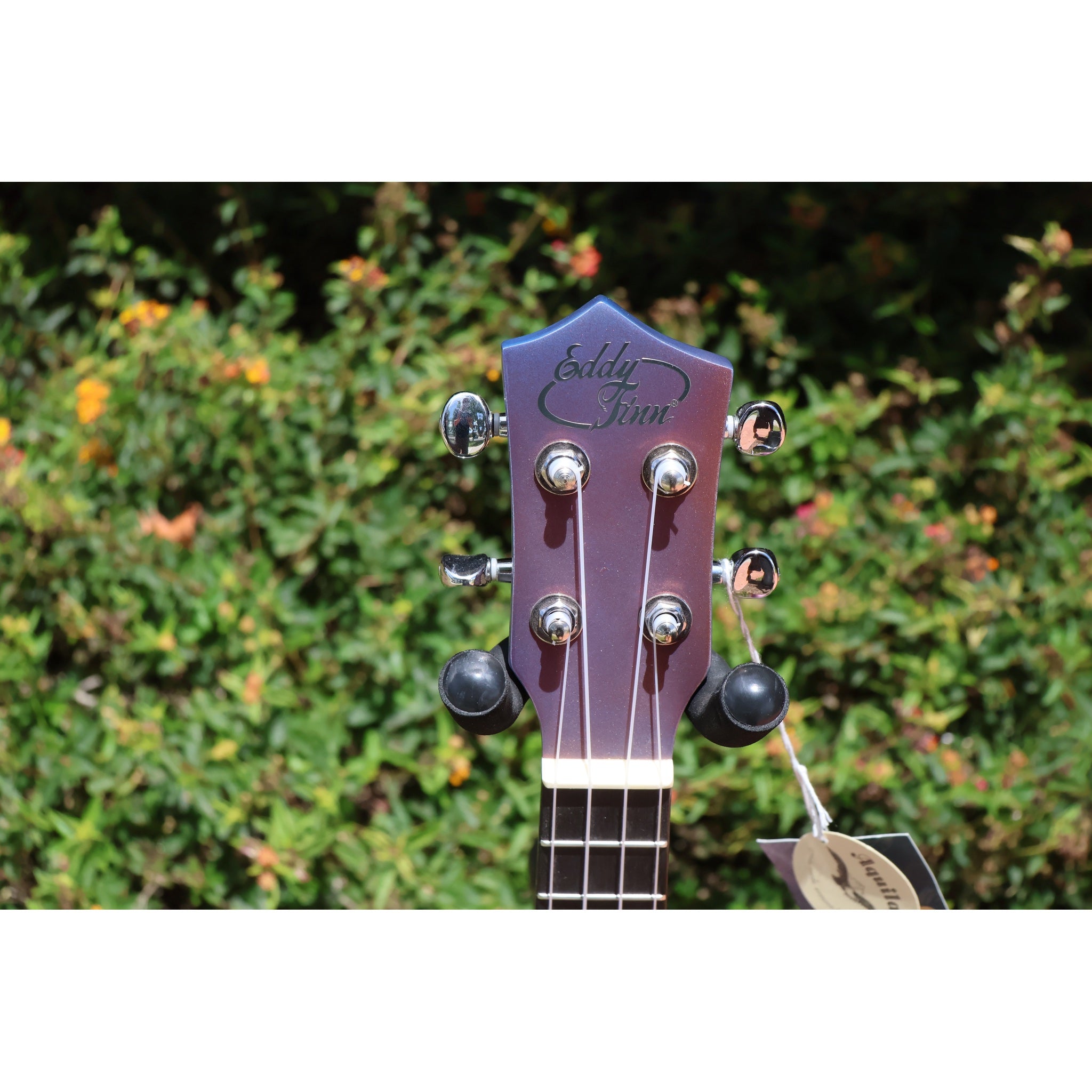 Eddy Finn Ocean King Purple Sparkle Concert Ukulele