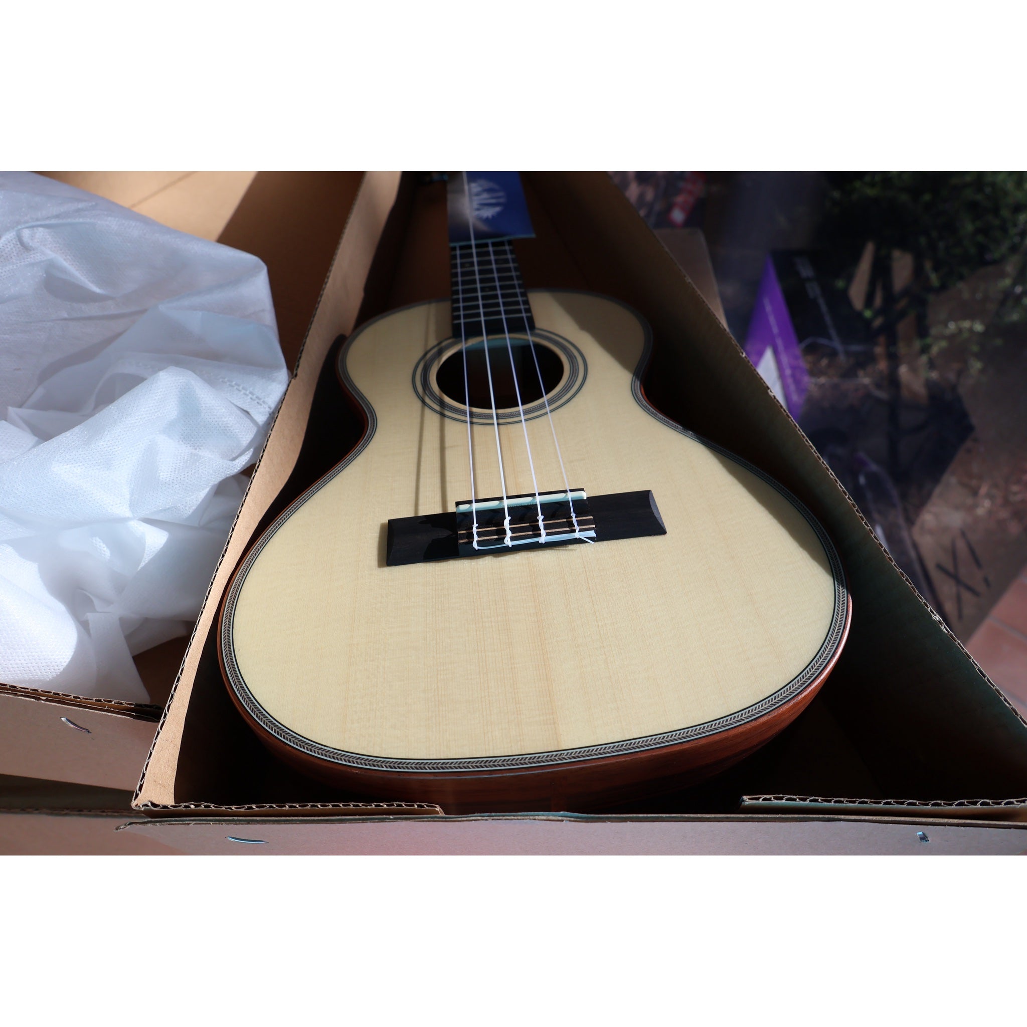 Kala Solid Spruce Top Striped Ebony Tenor Ukulele – KA-SSEBY-T