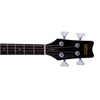 Washburn SB4B Wing Series Scavenger Bass - Black