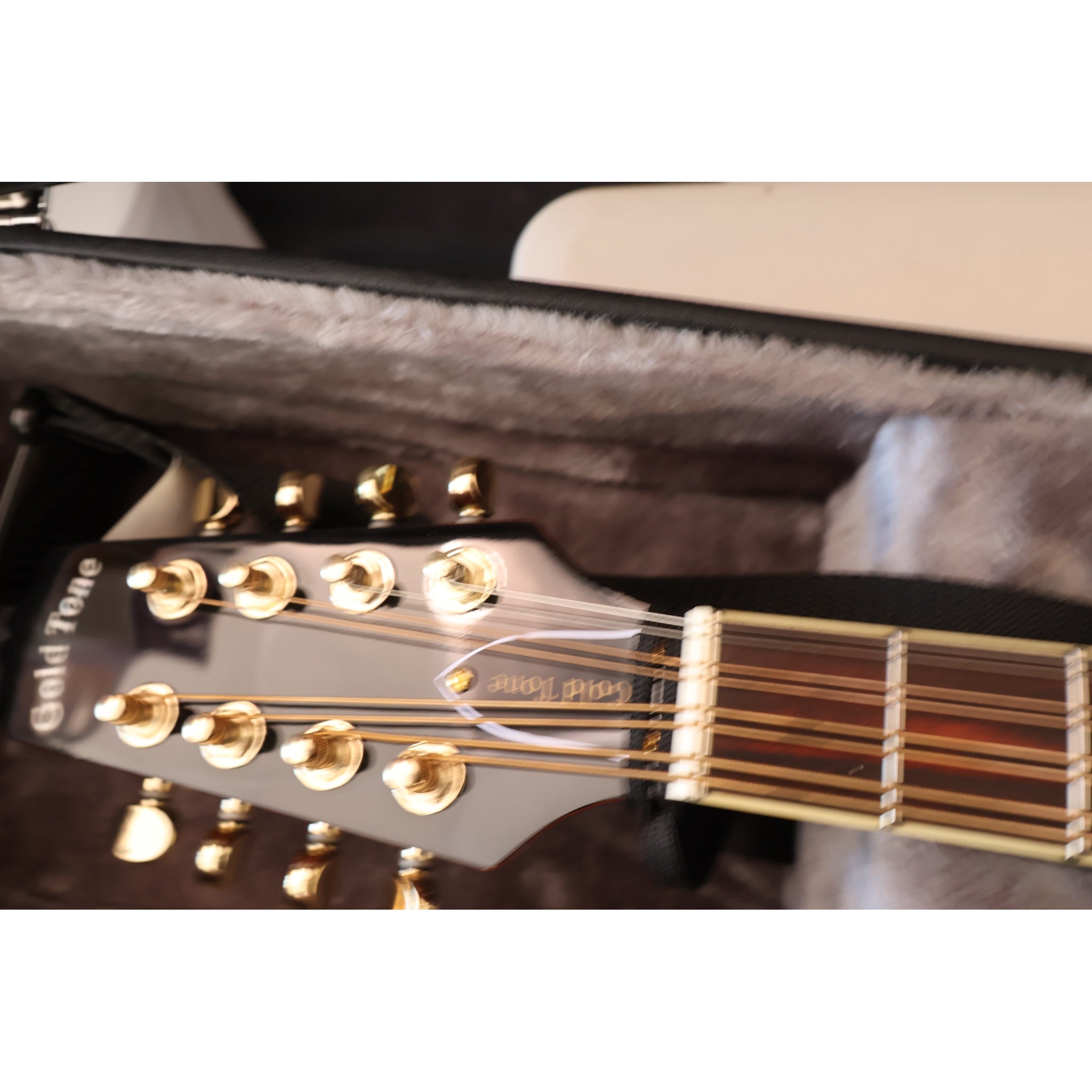Gold Tone OM-800+ Octave Mandolin with Case
