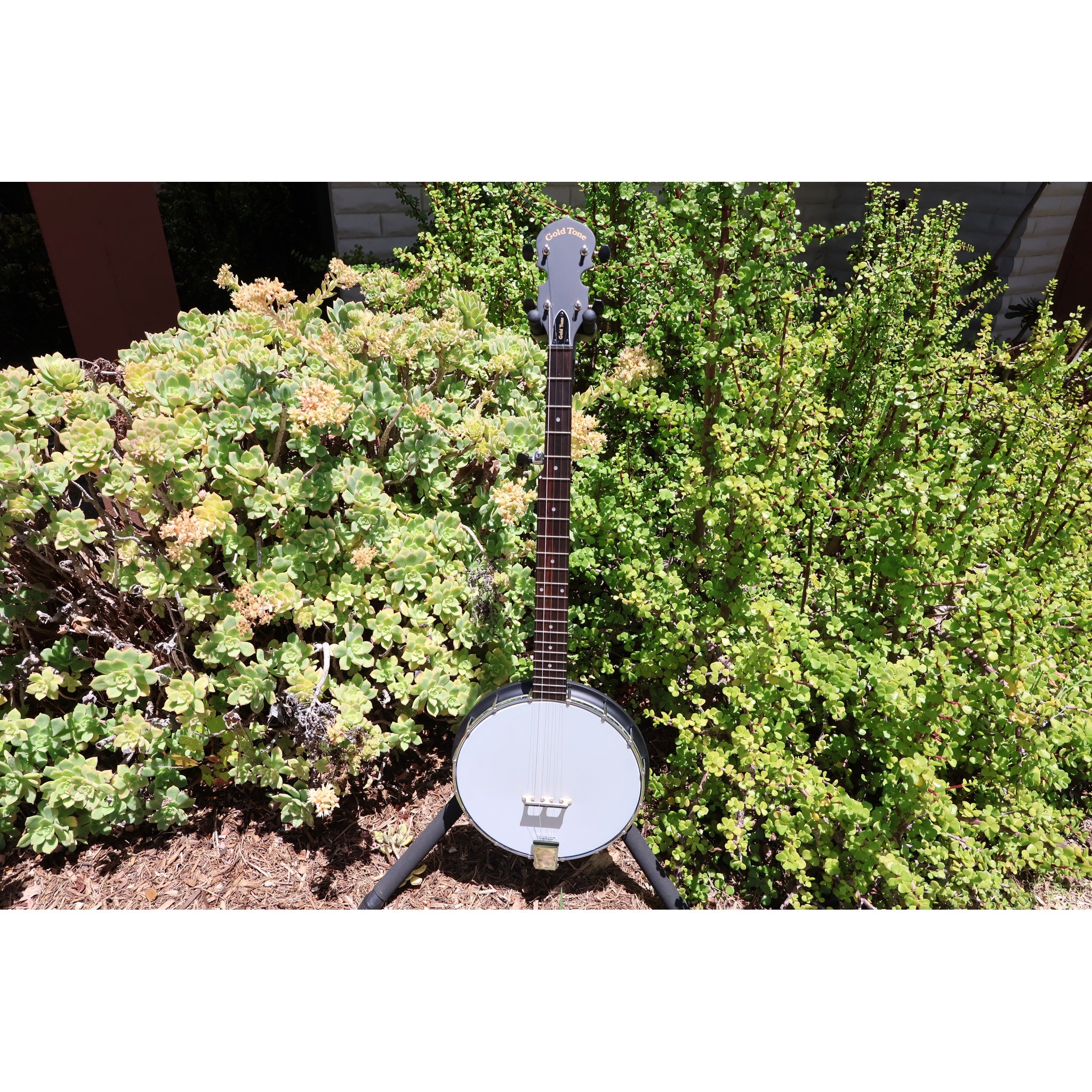 Gold Tone AC-1 5-String Openback Banjo with Gig Bag
