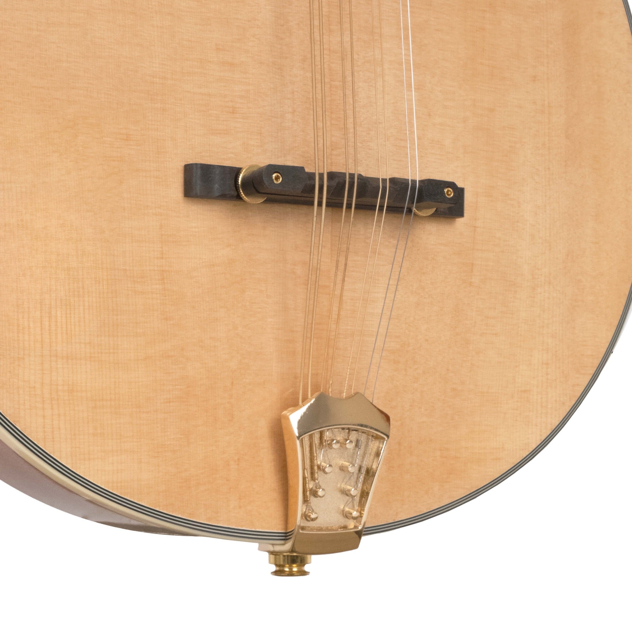 Gold Tone OM-800+ Octave Mandolin with Case