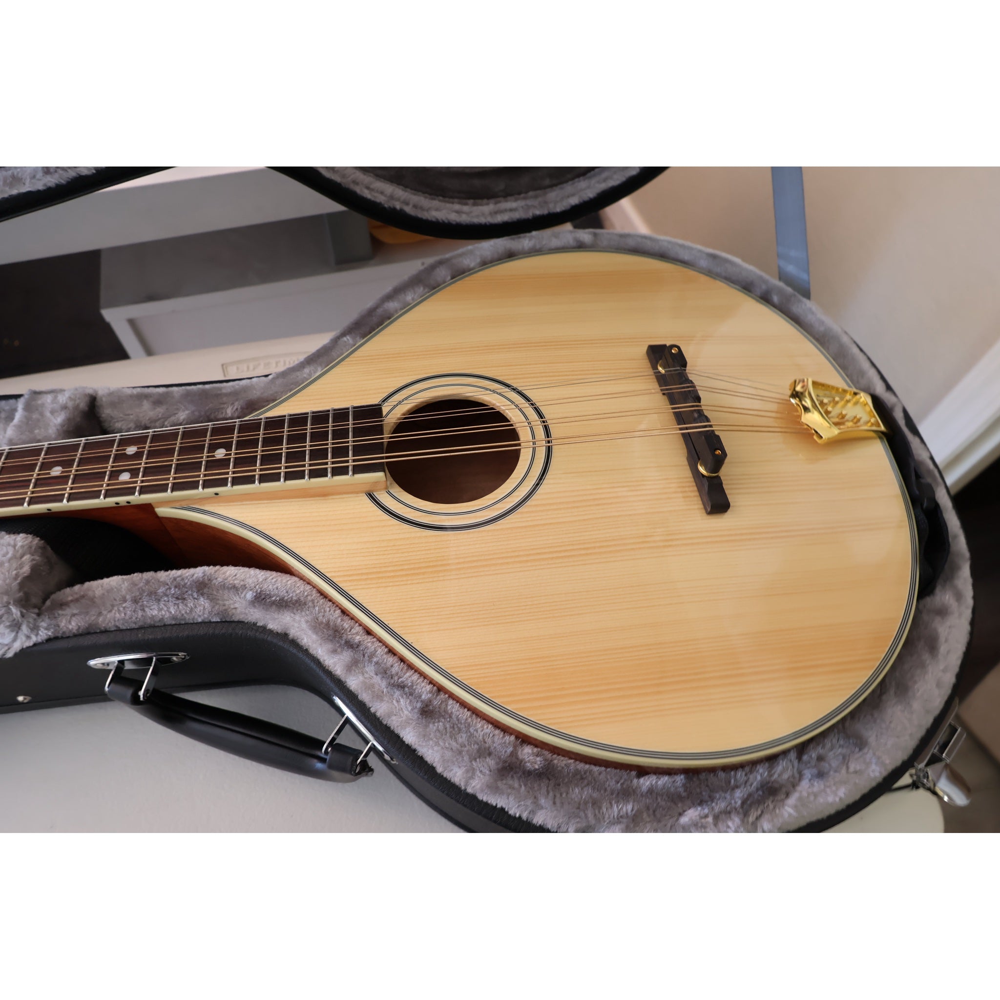 Gold Tone OM-800+ Octave Mandolin with Case