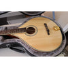 Gold Tone OM-800+ Octave Mandolin with Case
