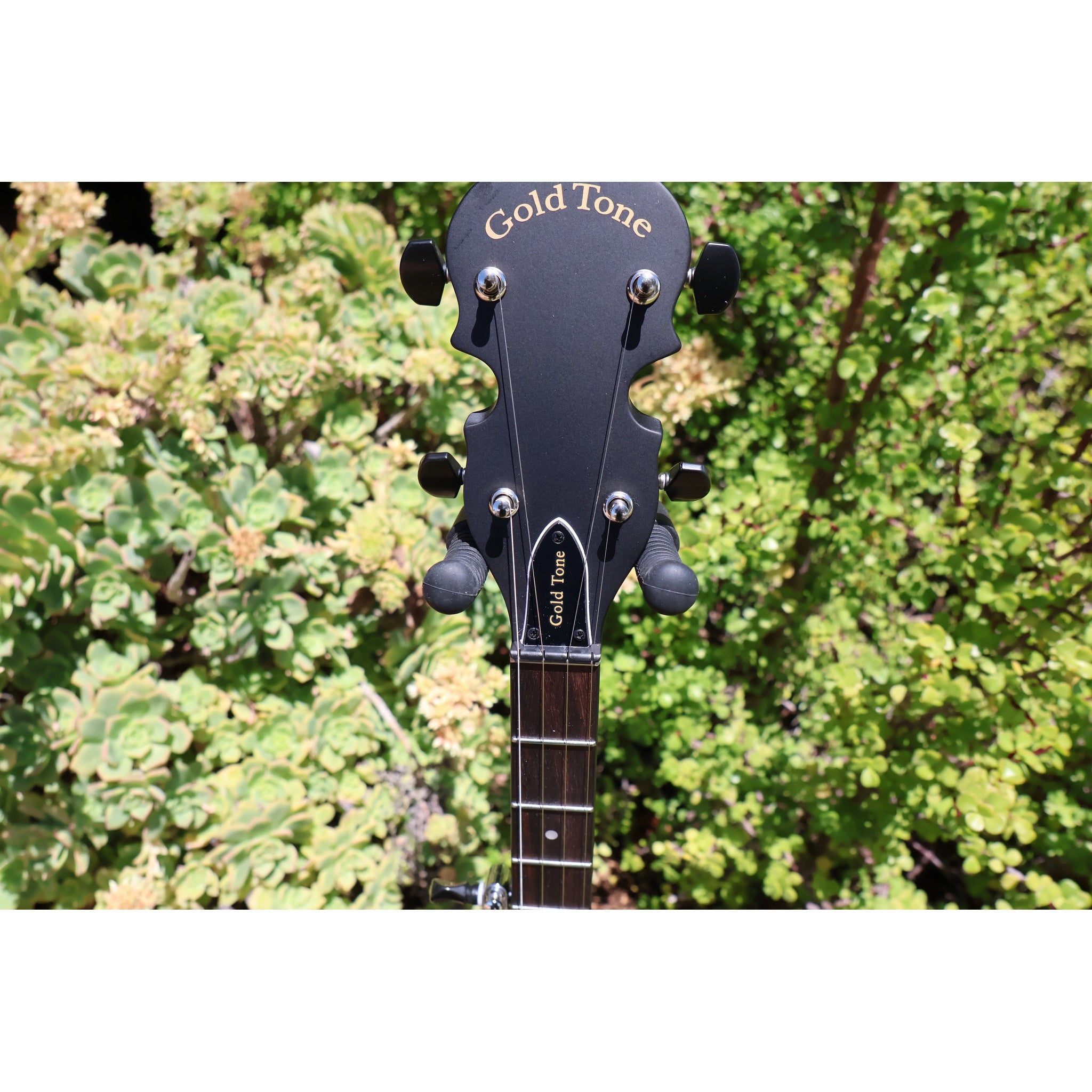 Gold Tone AC-1 5-String Openback Banjo with Gig Bag