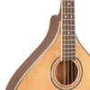 Close-up of a mandolin on a white background