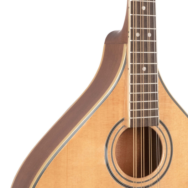 Close-up of a mandolin on a white background
