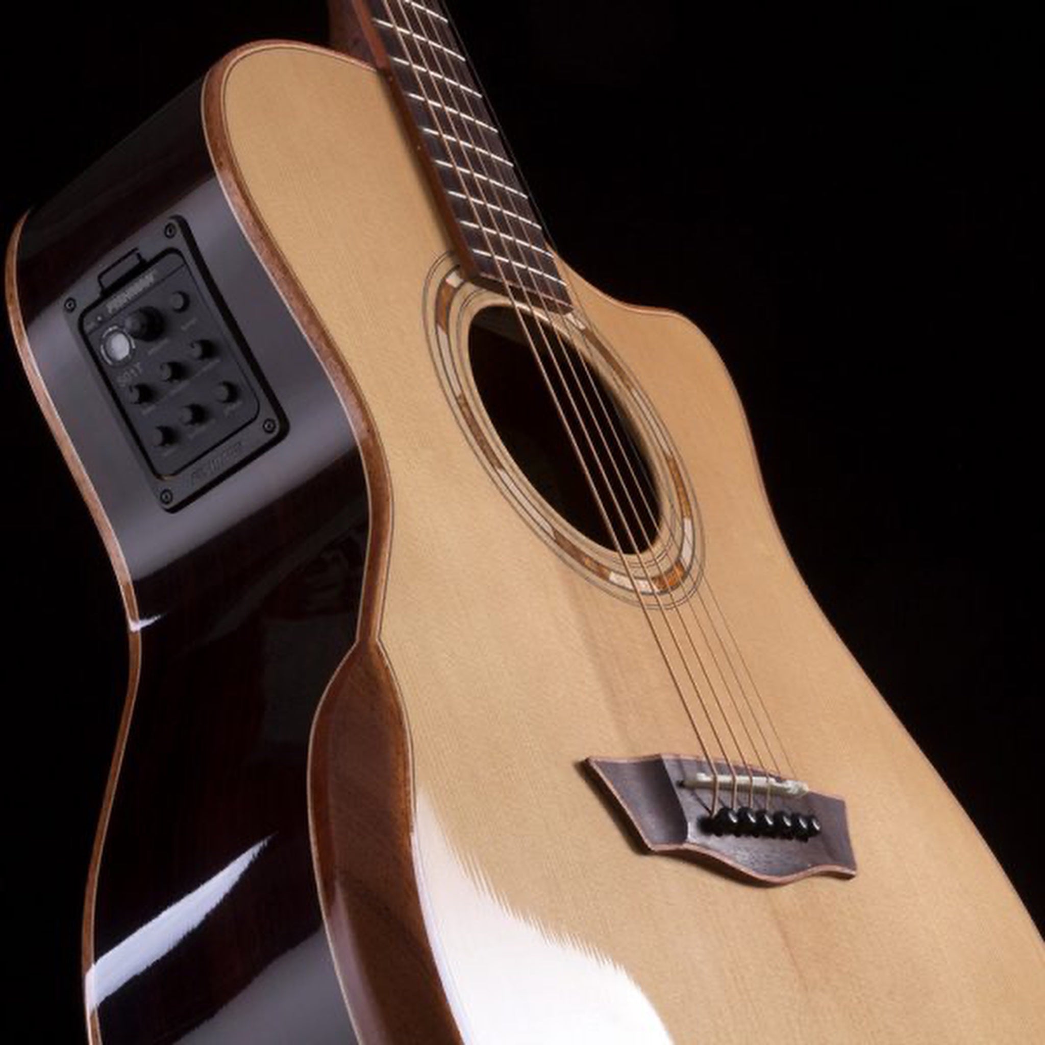 Washburn G25SCE Comfort Deluxe Pau Ferro acoustic-electric guitar