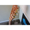 Córdoba C1 Gloss Classical Guitar with Gig Bag