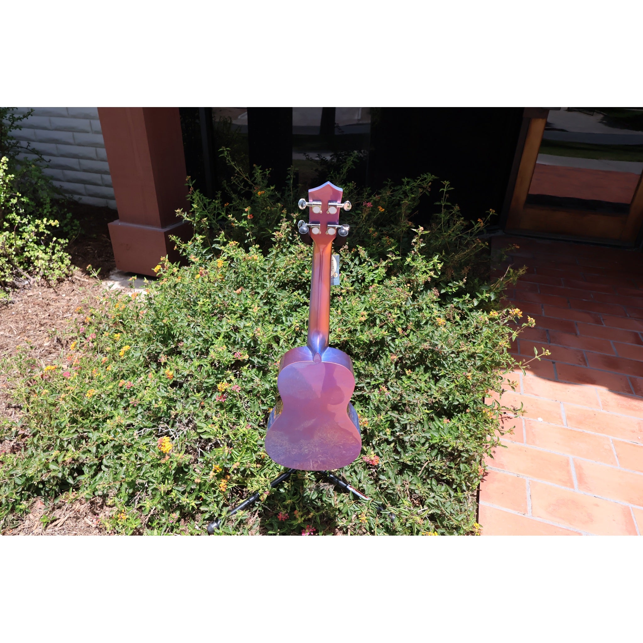 Eddy Finn Ocean King Purple Sparkle Concert Ukulele