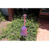 Eddy Finn Ocean King Purple Sparkle Concert Ukulele