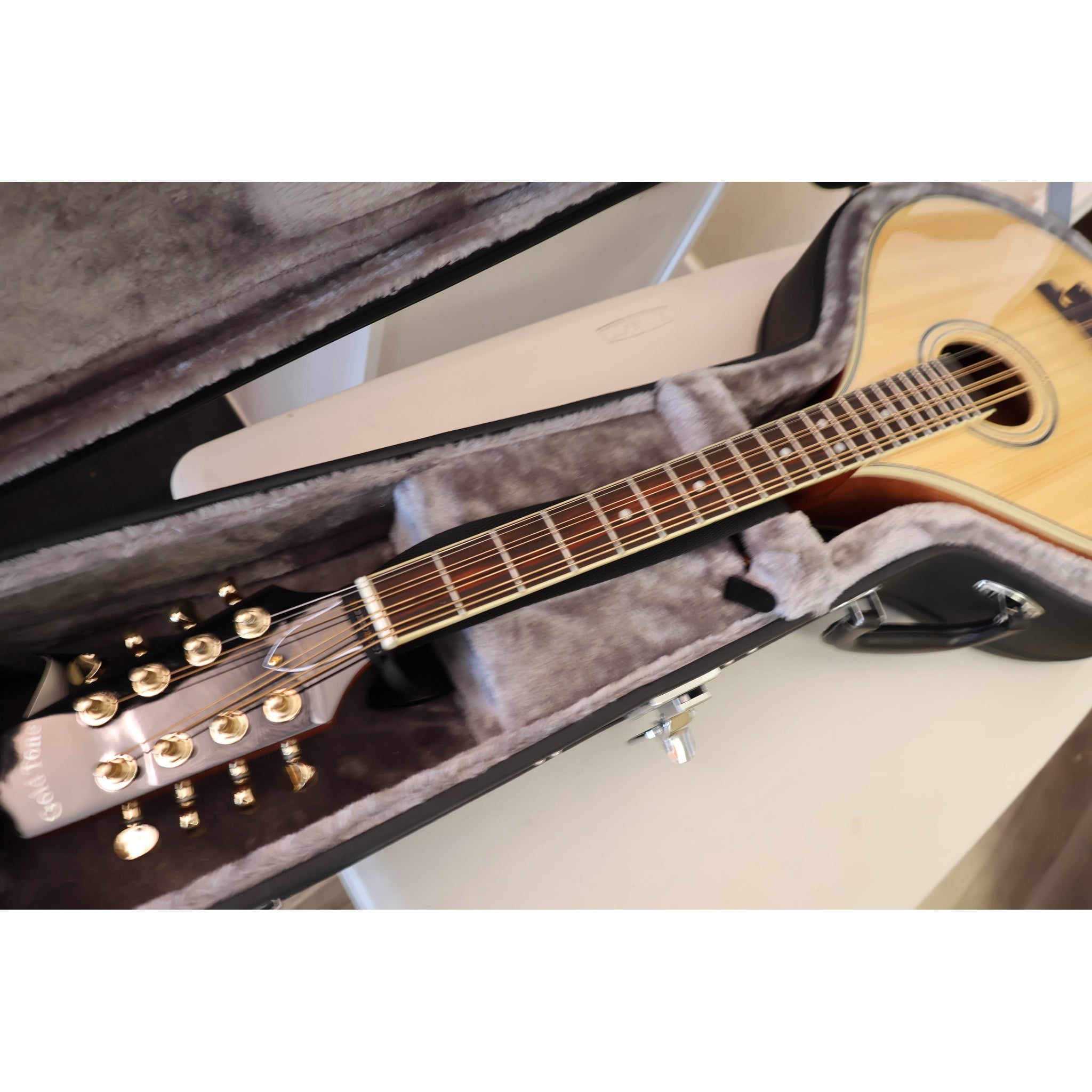 Gold Tone OM-800+ Octave Mandolin with Case