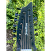 Breedlove Discovery S Concert Satin Black 12 String CE European-African Mahogany