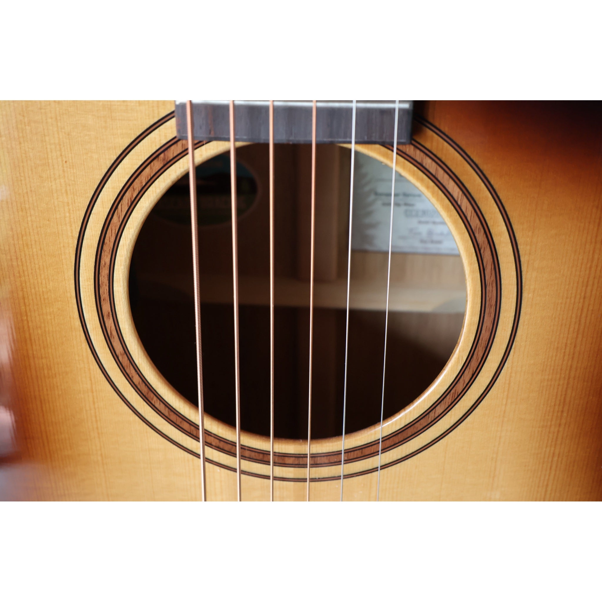 Breedlove Artista Pro Concerto CE Acoustic-Electric Guitar – Burnt Amber