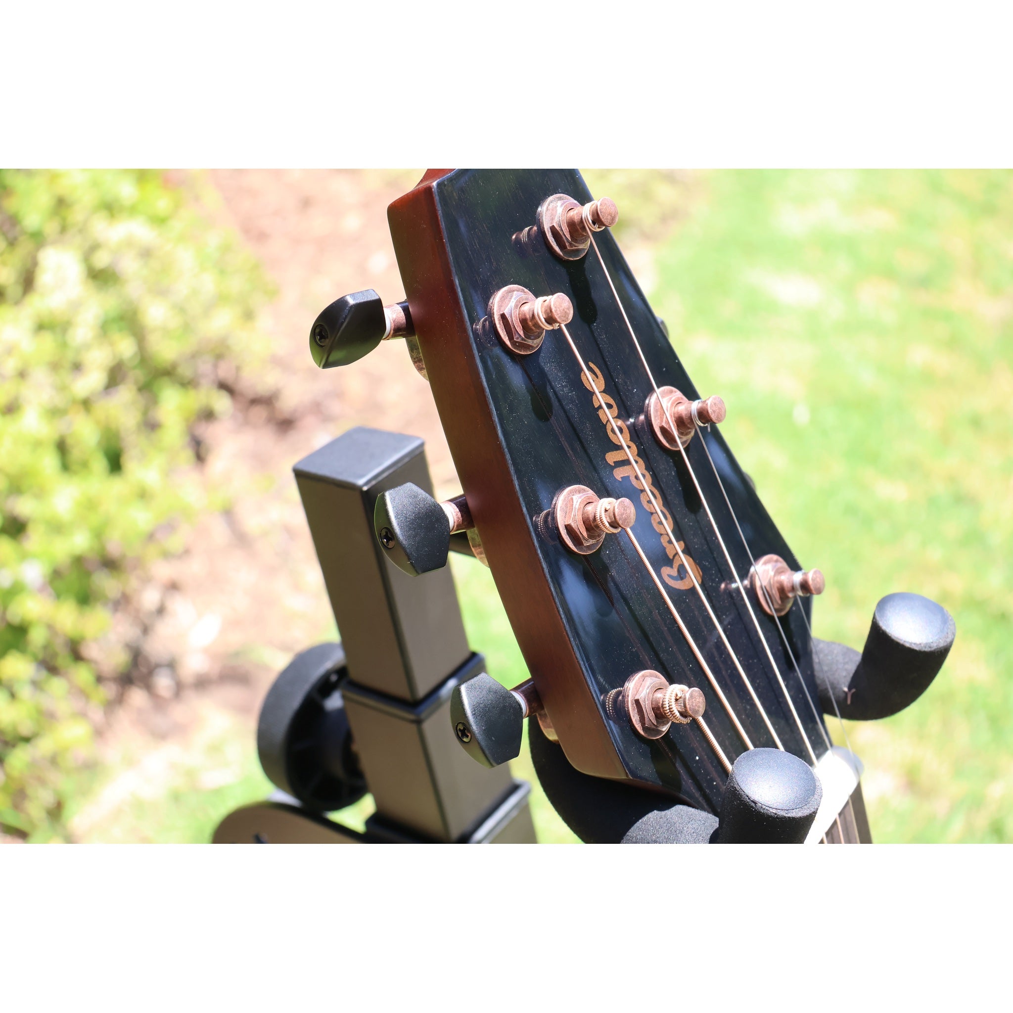 Breedlove Pursuit Exotic S Companion Tiger's Eye CE Myrtlewood-Myrtlewood — CC250205209