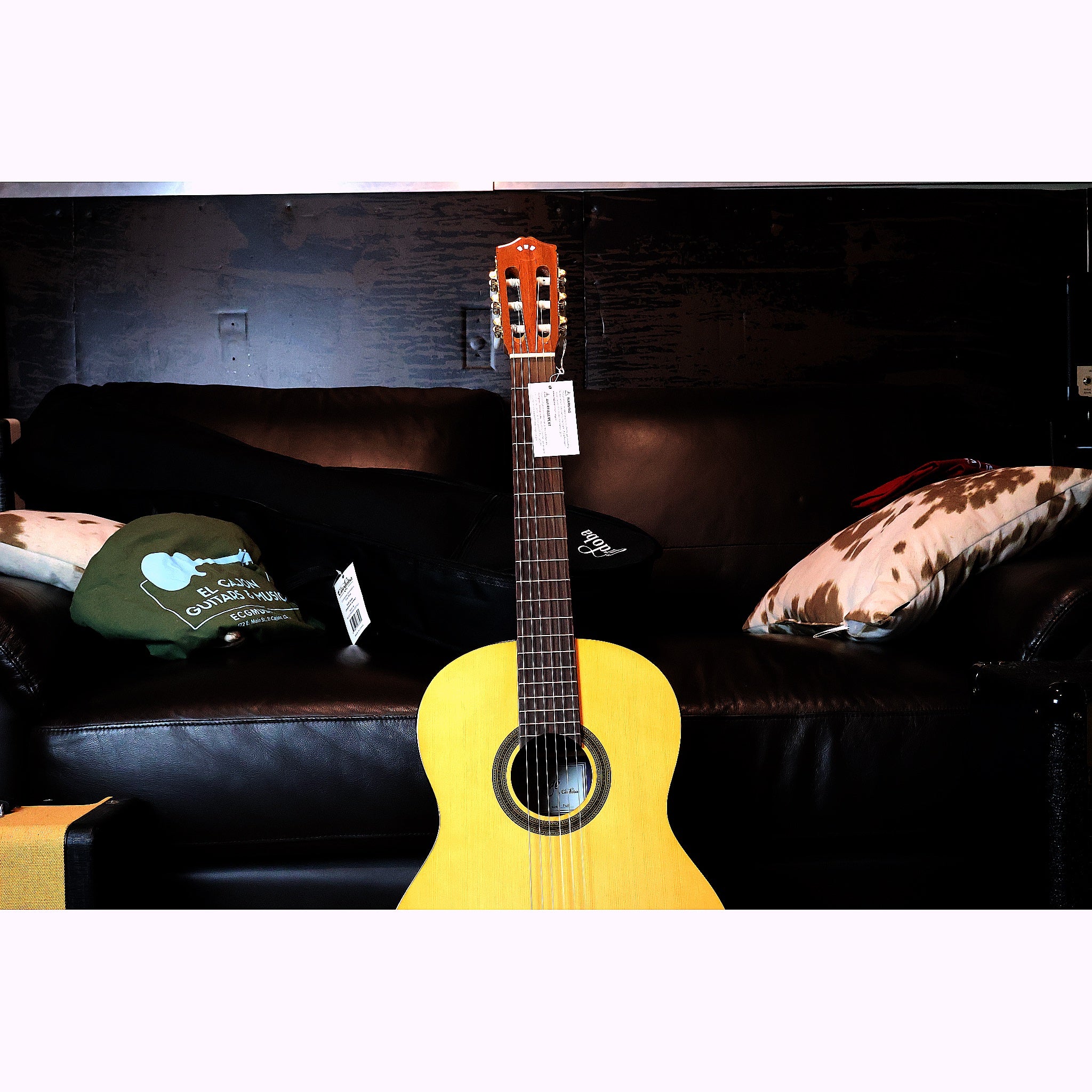 Córdoba C1 Gloss Classical Guitar with Gig Bag