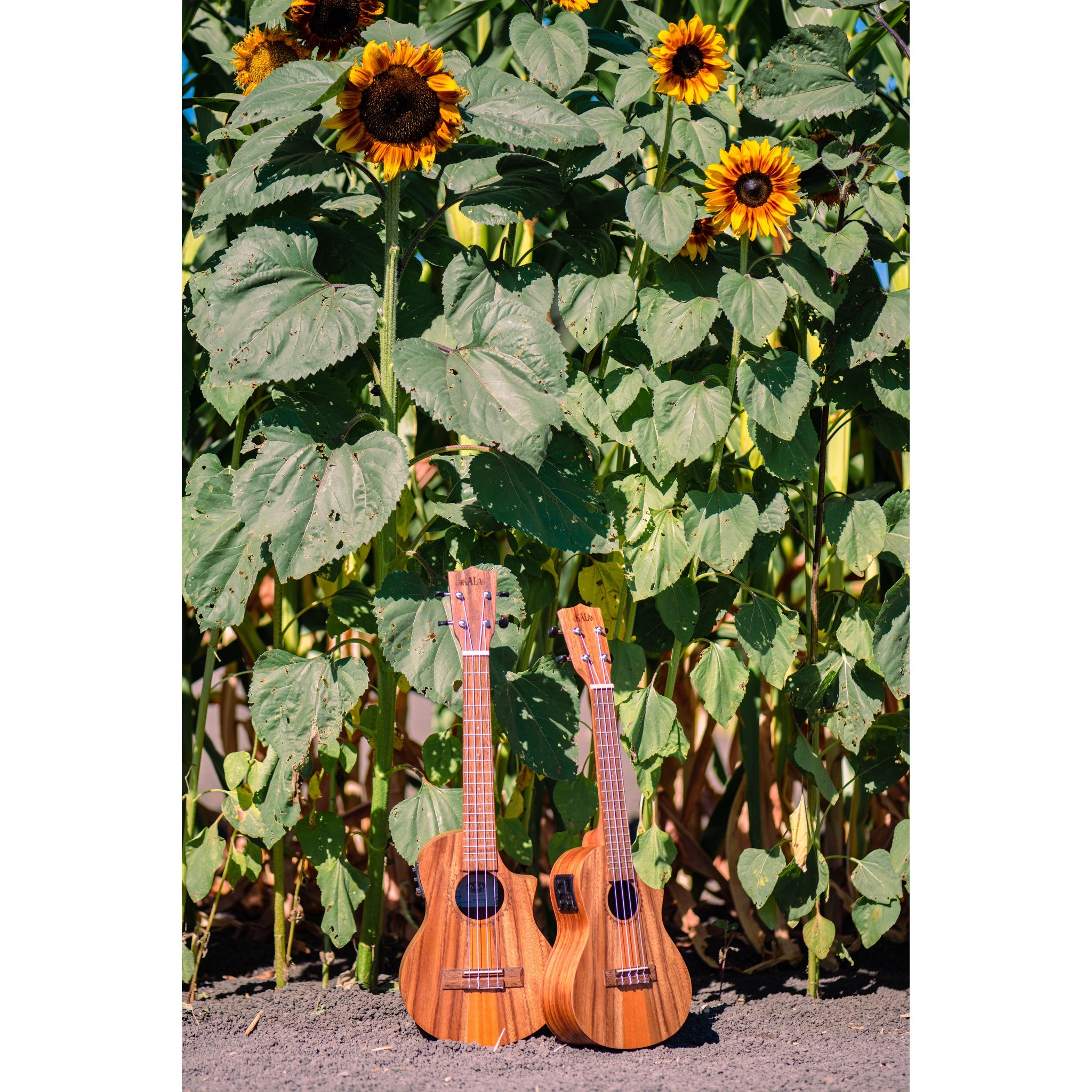 Kala Teak Tri-Top Tenor Ukulele w/ Cutaway & EQ - KA-TK-T-CE