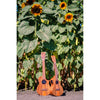 Kala Teak Tri-Top Tenor Ukulele w/ Cutaway & EQ - KA-TK-T-CE