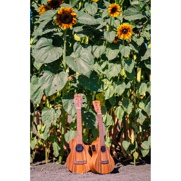 Kala Teak Tri-Top Tenor Ukulele w/ Cutaway & EQ - KA-TK-T-CE