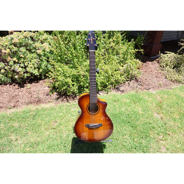 Breedlove Pursuit Exotic S Companion Tiger's Eye CE Myrtlewood-Myrtlewood — CC250205209