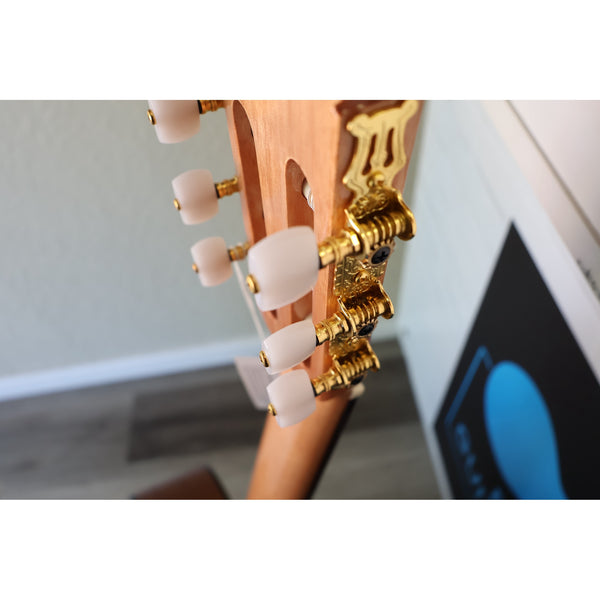 Córdoba C1 Gloss Classical Guitar with Gig Bag