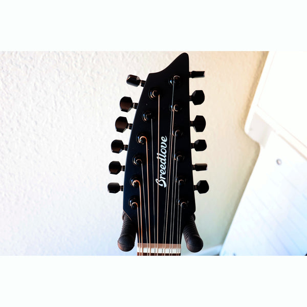 Breedlove Discovery S Concert Satin Black 12 String CE European-African Mahogany