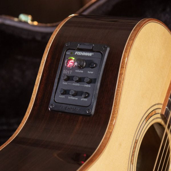 Washburn G25SCE Comfort Deluxe Pau Ferro acoustic-electric guitar