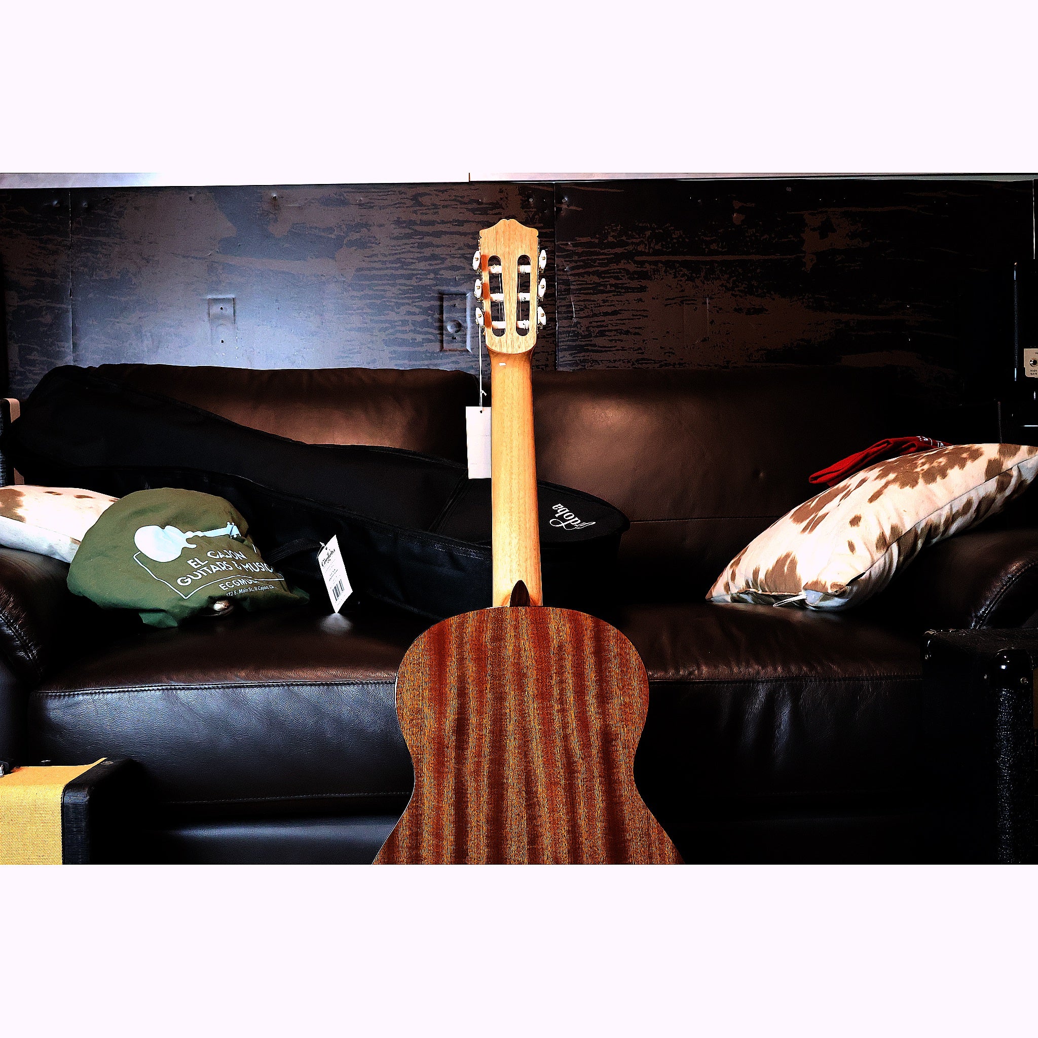 Córdoba C1 Gloss Classical Guitar with Gig Bag
