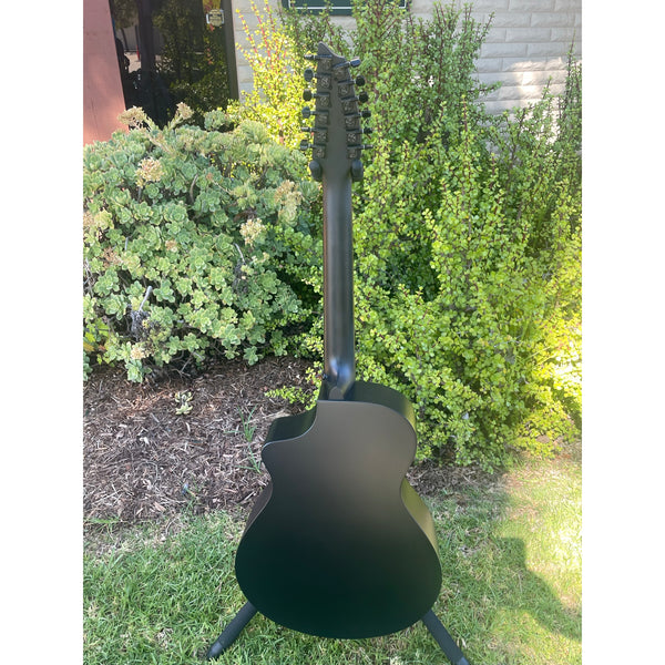 Breedlove Discovery S Concert Satin Black 12 String CE European-African Mahogany