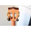 Kala Solid Cedar Top Pau Ferro Tenor Ukulele – KA-ASCP-T