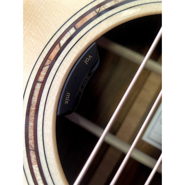 Bedell Revolution Dreadnought — Adirondack/Cocobolo w/ LR Baggs Anthem (#1223006)