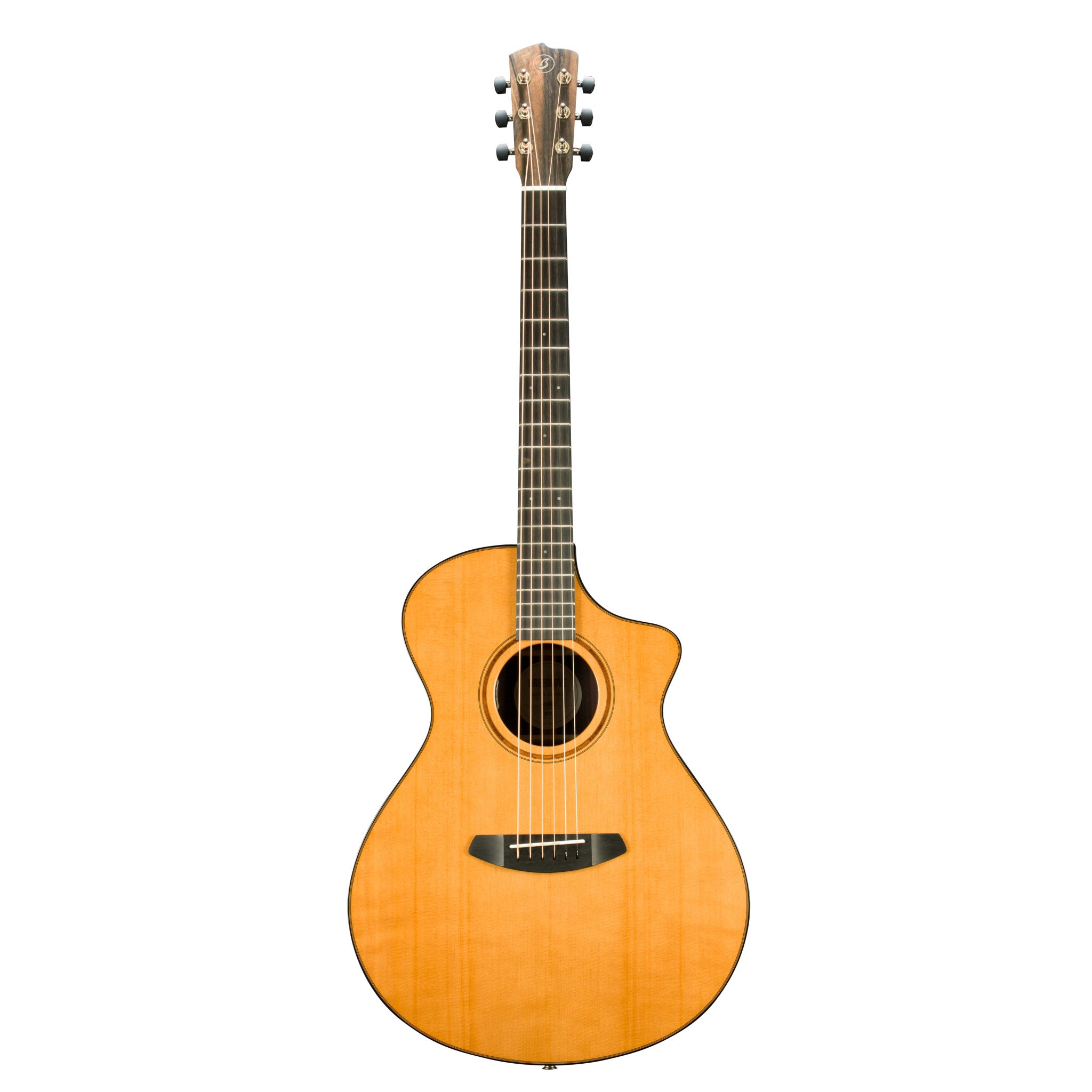 Breedlove RTC SR CE acoustic guitar front view