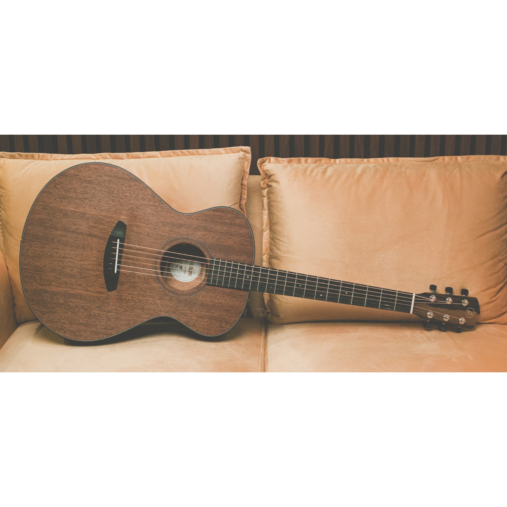 Breedlove Roots Concert MM E