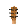 Breedlove Roots Concert MM E