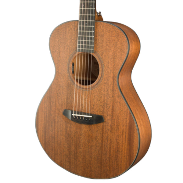 Breedlove Roots Concert MM E