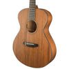 Breedlove Roots Concert MM E