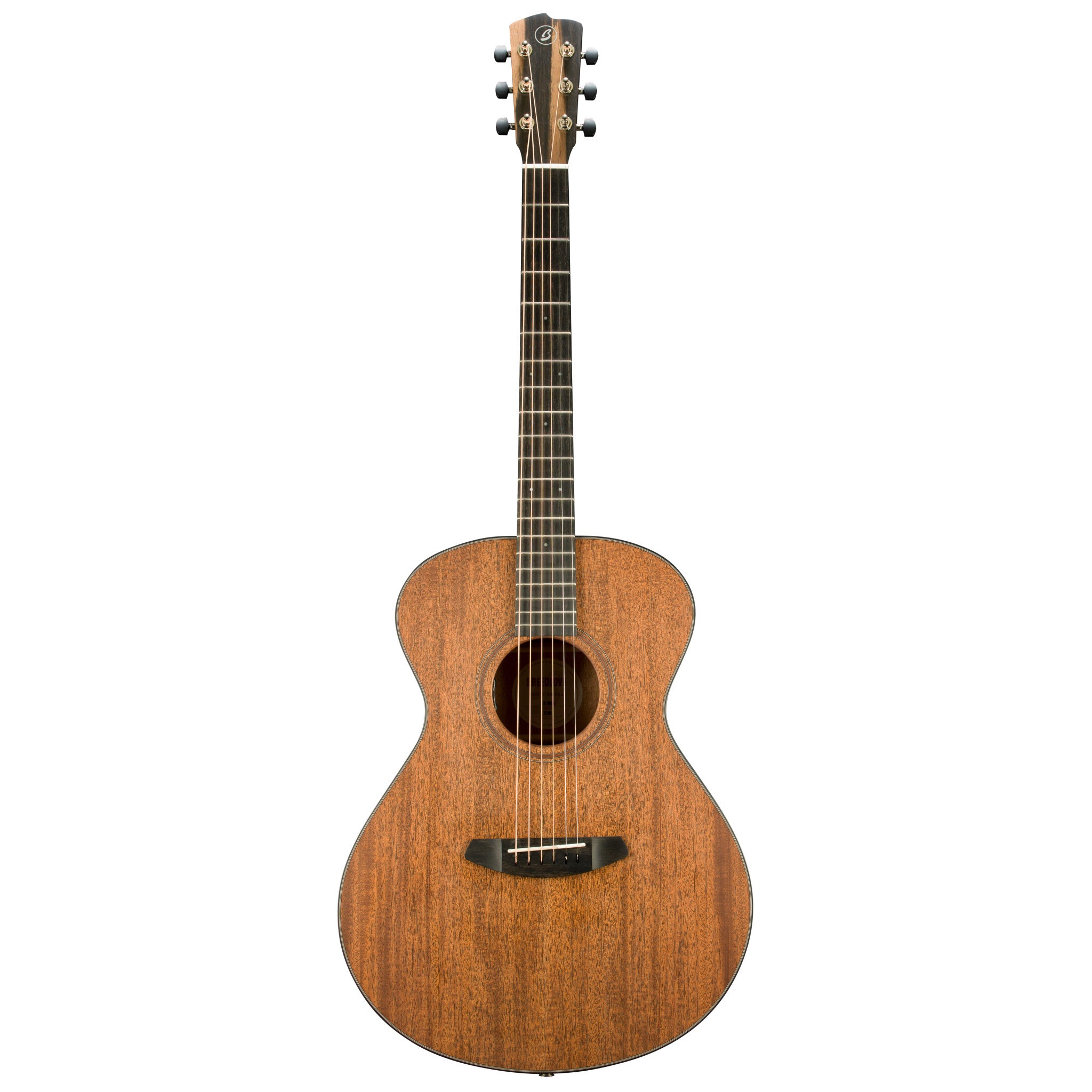 Breedlove Roots Concert MM E