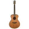 Breedlove Roots Concert MM E