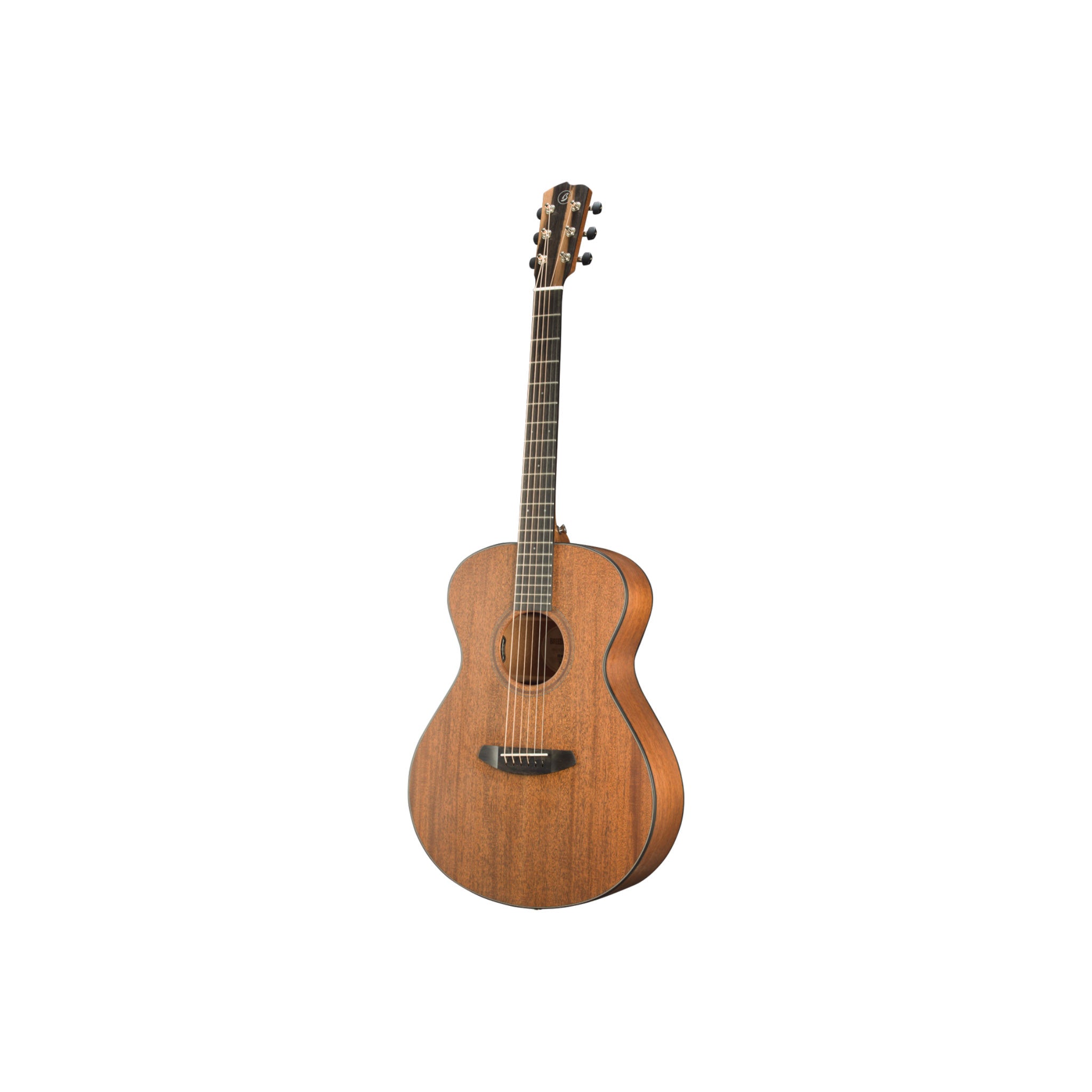 Breedlove Roots Concert MM E