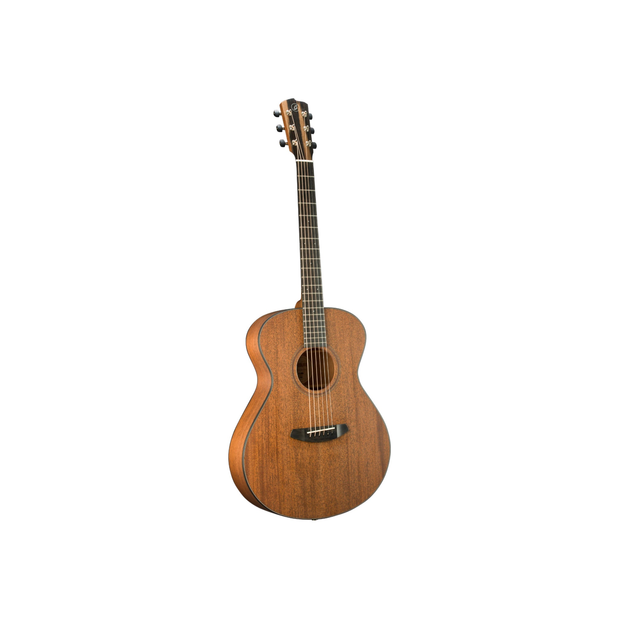 Breedlove Roots Concert MM E