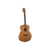 Breedlove Roots Concert MM E